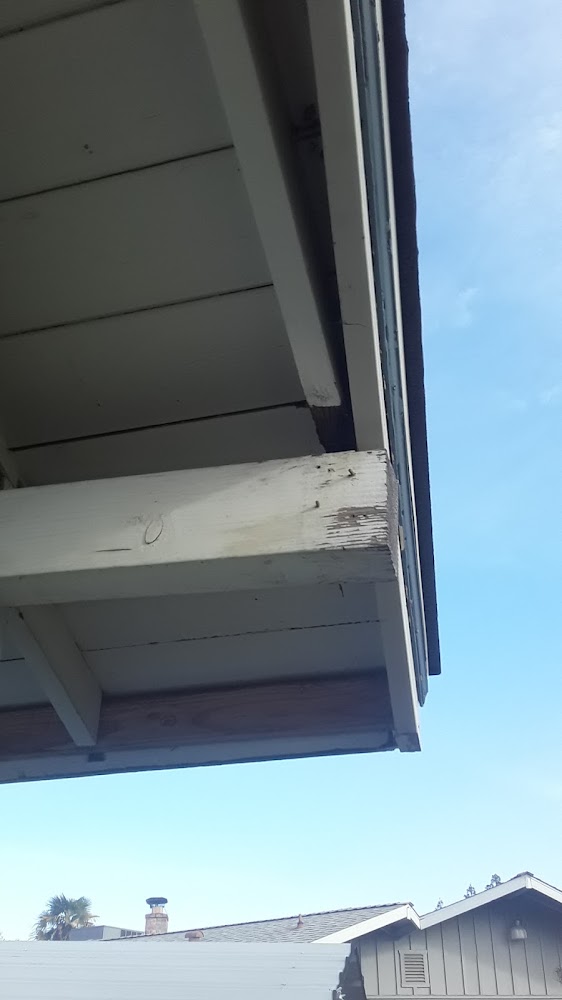TopLine Roof Solutions