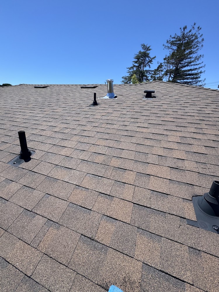RPA Flat Roof