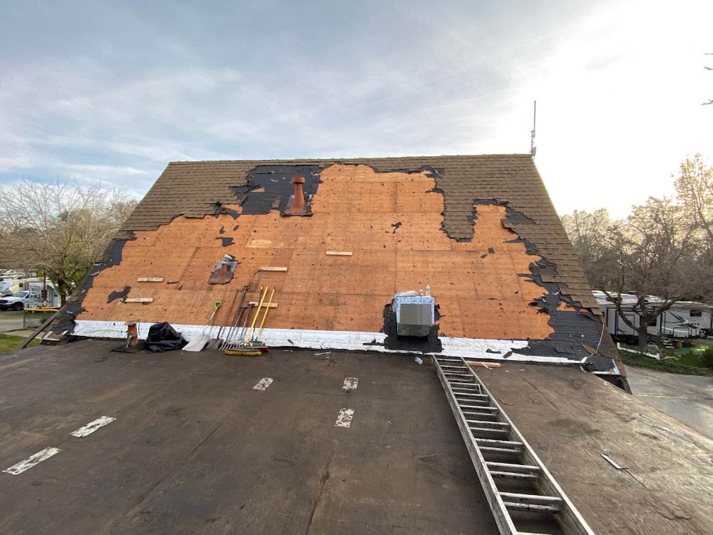 Edgeline Roofing Services