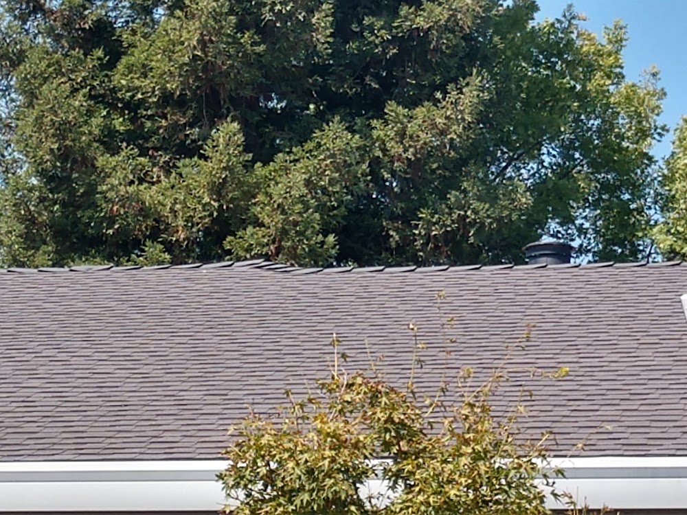 Alta Cal Roofing
