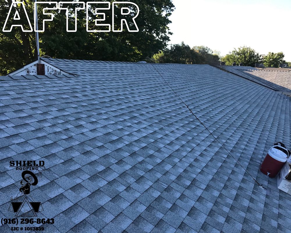 Shield Roofing