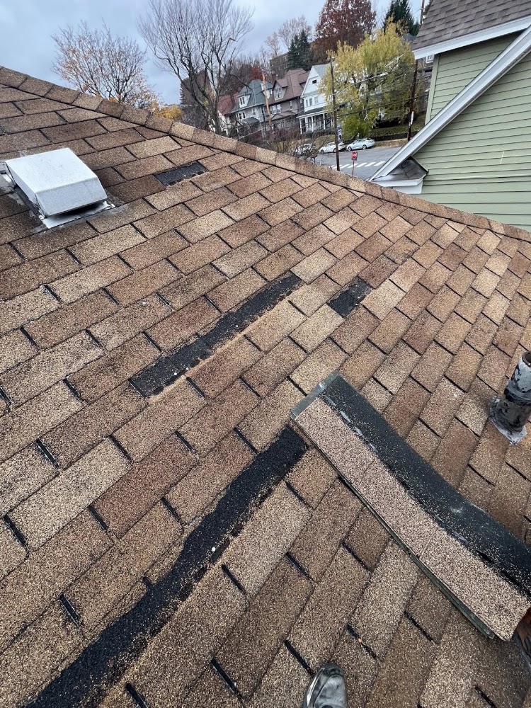 Ramsey Roofing