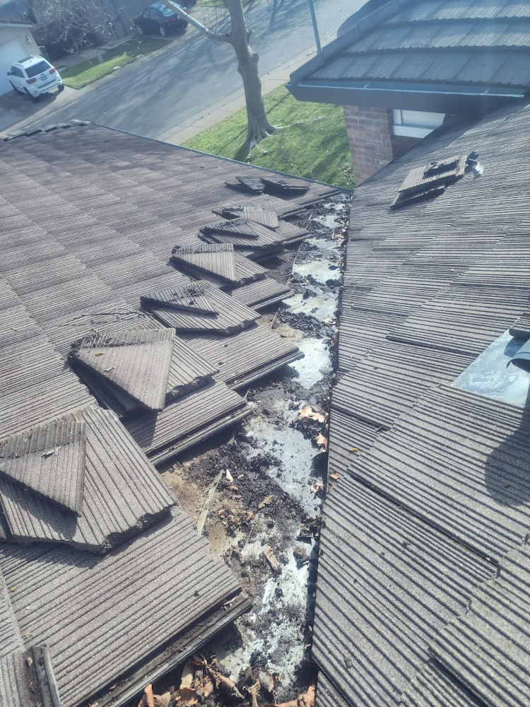Future RoofRemo