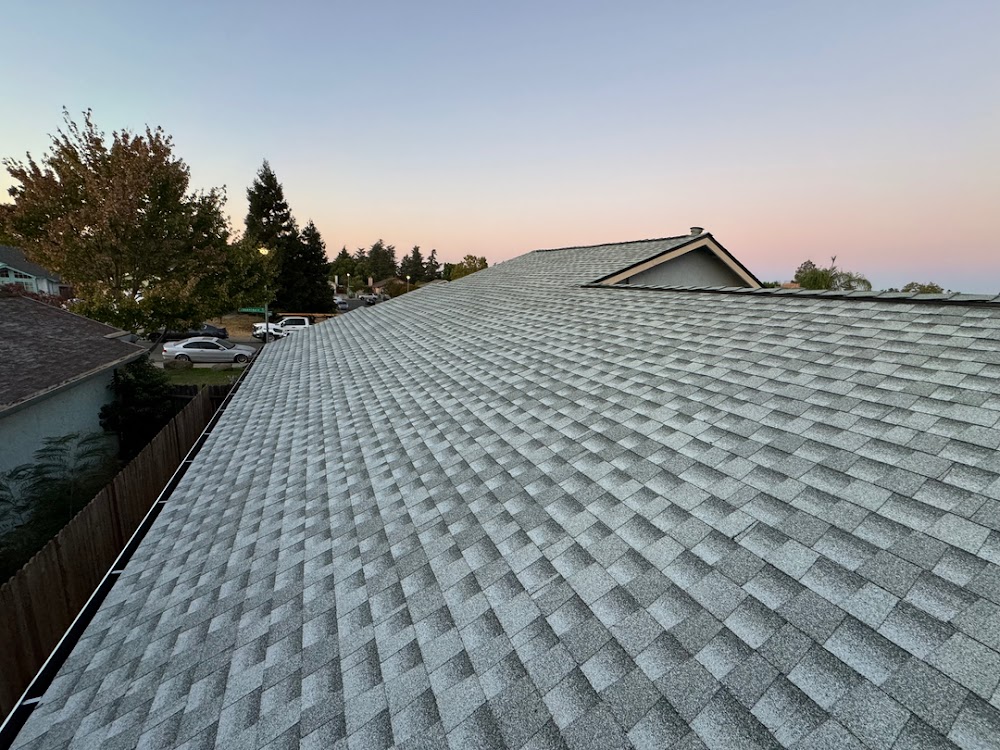 M1 Roofing
