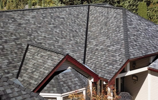 Reagle Roofing